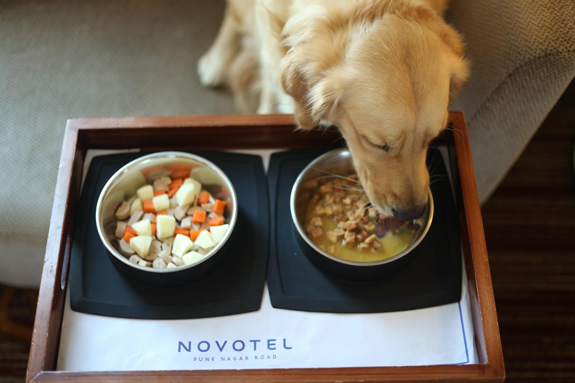 Novotel Pune Viman Nagar Road Exterior photo A dog eating dog food