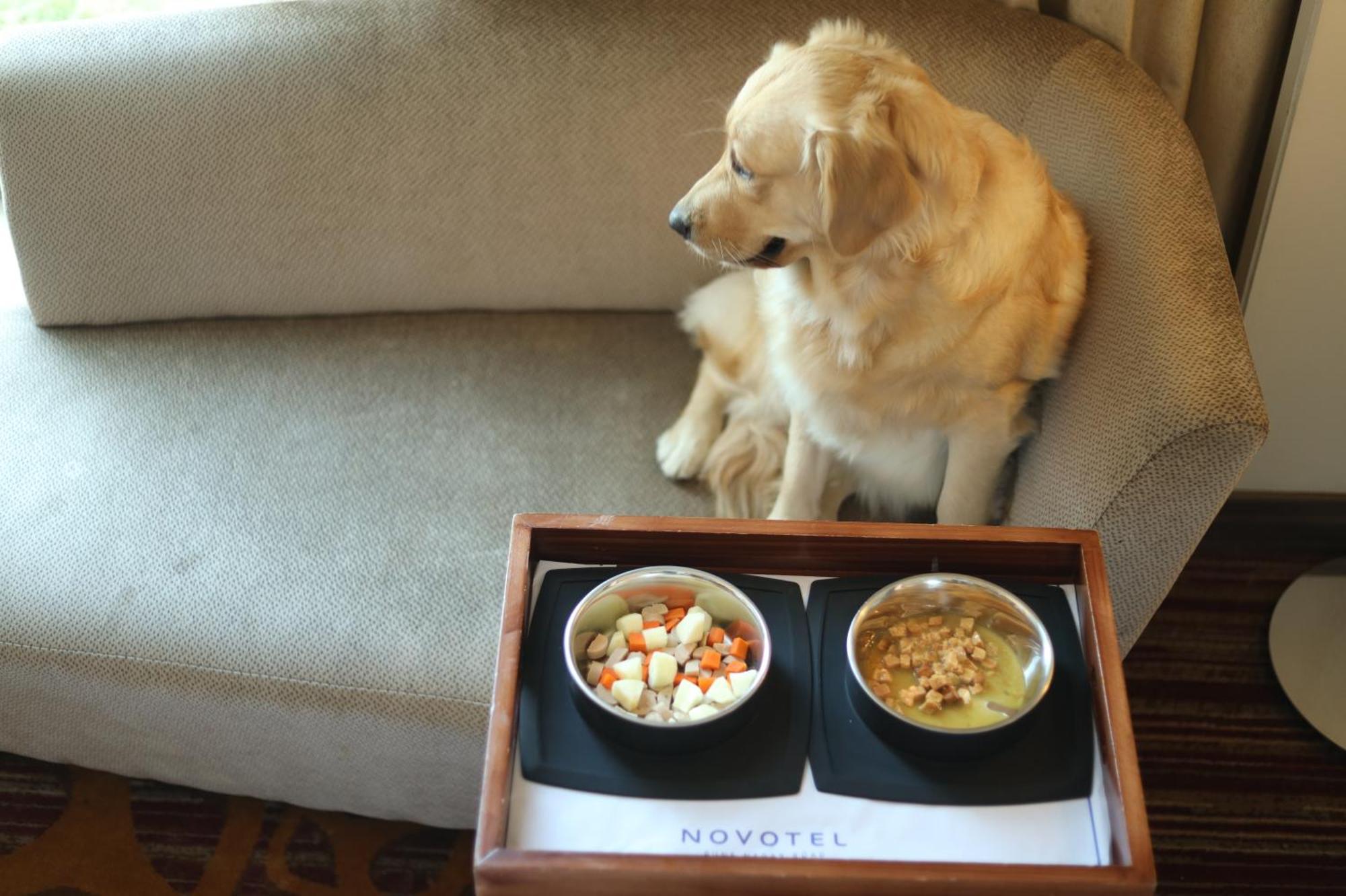 Novotel Pune Viman Nagar Road Exterior photo A dog with two bowls of food